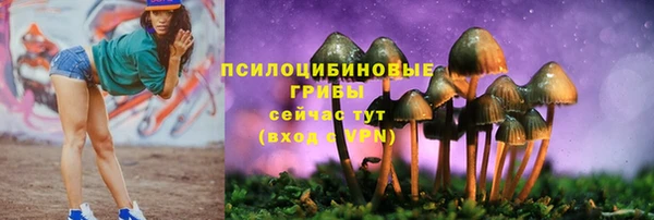 МДМА Рославль